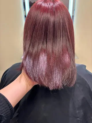 ミディアム カラー ヘアアレンジ Opus🐕kato Mizuki🐕のヘアスタイル