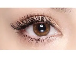 マツエク・マツパ joieange 🕊️のマツエク・マツパデザイン