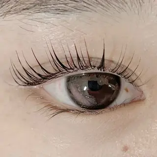 マツエク・マツパ Shugar by ecolua所属・🤍 南浦和徒歩5分 Asuka 💚のマツエク・マツパデザイン