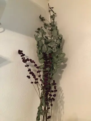 温活リンパサロン芍花 しゃっかのエステ・リラクイメージ