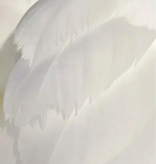 マツエク・マツパ モテデザインのプロ モモ🍑のマツエク・マツパデザイン