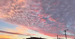 ヤマウチ  ヒデキのヘアスタイル