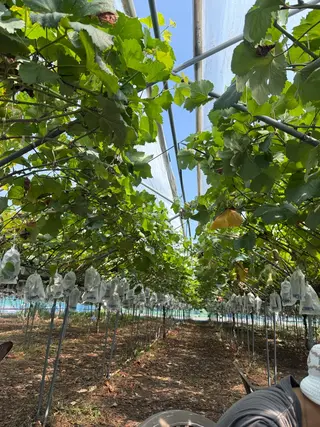 メナードフェイシャルサロン丸の内ヒルズ所属・メナード丸の内ヒルズ 柳田りさのエステ・リラクイメージ