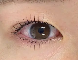 マツエク・マツパ Daisy lash 京橋店堀井のマツエク・マツパデザイン