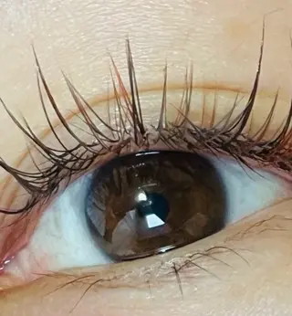 マツエク・マツパ K&E lashe /大垣　まつ毛、眉毛のマツエク・マツパデザイン