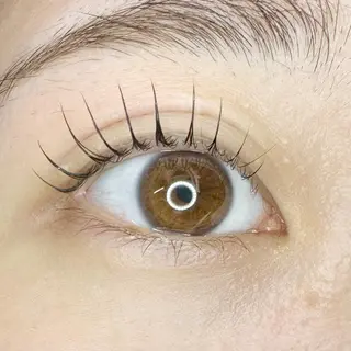 マツエク・マツパ 口コミ高評価⚡️ Wahf/そうたのマツエク・マツパデザイン