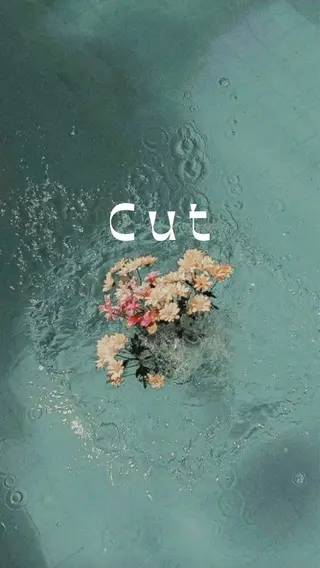 ロング 髪質改善/レイヤー 🫧山本勇輝🫧のヘアスタイル