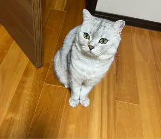 ネイル lucky nail 歌舞伎町のネイルデザイン