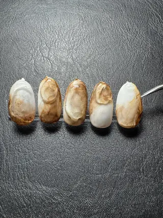 ネイル m. nailのネイルデザイン