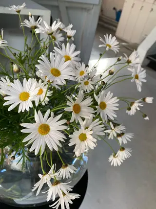 &72 takiのヘアスタイル