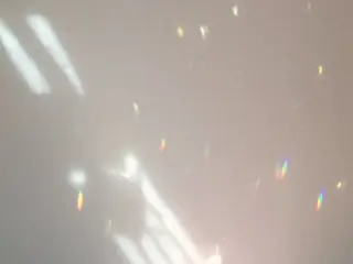 ネイル S. Ishiuchiのネイルデザイン