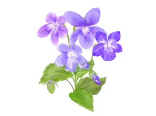 岩崎 .のエステ・リラクイメージ