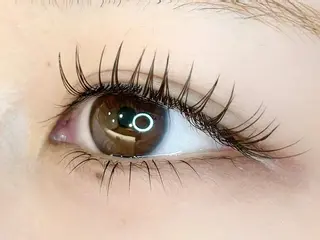 マツエク・マツパ プラスアイ 錦糸町店のマツエク・マツパデザイン