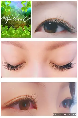 マツエク・マツパ Plants　斧田 ひろみのマツエク・マツパデザイン