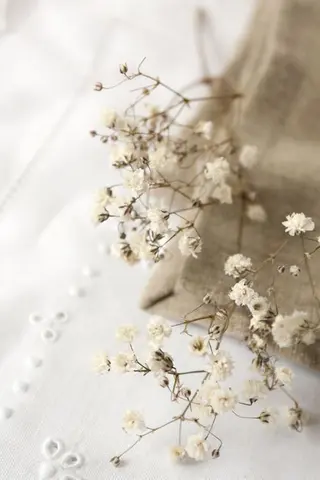 マツエク・マツパ miien(SALONVILLAGE内)所属・MOE /渋谷・明治神宮前のマツエク・マツパデザイン