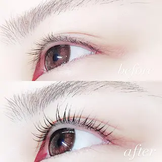 マツエク・マツパ Lanhr所属・【Lanhr】 🕊aya🕊のマツエク・マツパデザイン