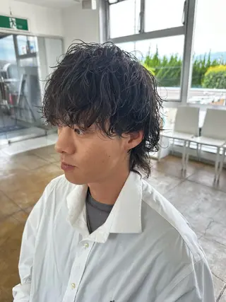 ミディアム パーマ メンズ 森本 光貴のヘアスタイル