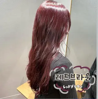 ロング カラー 한국 스타일ෆ˚* 🎀オビツメイ🎀のヘアスタイル