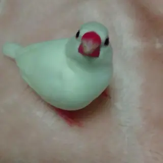 g*rossa高橋 くみこのエステ・リラクイメージ