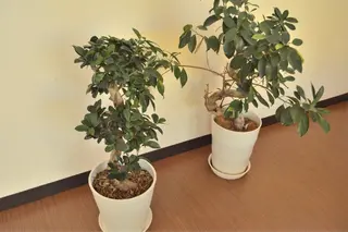 三田 吾郎のエステ・リラクイメージ