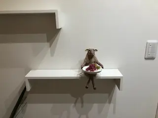 MiURA/新技術 &研修生モデル募集用のマツエク・マツパデザイン