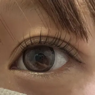 マツエク・マツパ miel中百舌鳥所属・miel yamaguchiの眉毛・アイブロウイメージ