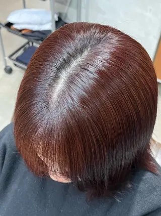 ミディアム カラー 暖色  艶カラー/ 蒔田 爽真のヘアスタイル