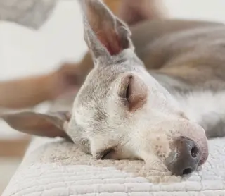 ネイル 林 延信(韓国)のネイルデザイン