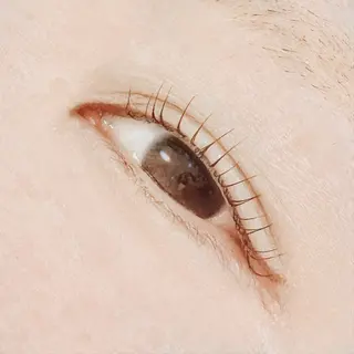 マツエク・マツパ PROGRESS 龍ヶ崎 小泉🦋のマツエク・マツパデザイン