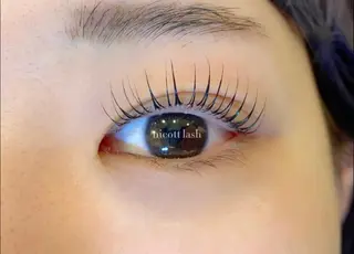 マツエク・マツパ デイジーラッシュ 天王寺　南のマツエク・マツパデザイン