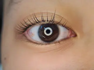 マツエク・マツパ cocolash　町屋店所属・cocolash 🧸のマツエク・マツパデザイン