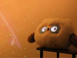 月とふくろう所属・濱田 和歌のエステ・リラクイメージ