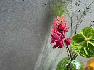 マツエク・マツパ komatsu eyelash恵比寿のマツエク・マツパデザイン