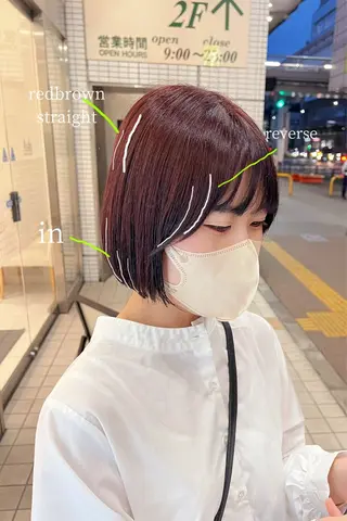 ショート 韓国ボブ/縮毛矯正 /レイヤーカットのヘアスタイル