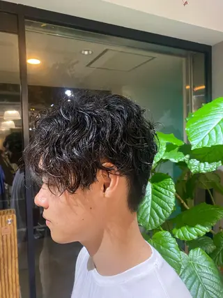 パーマ メンズ タツキ／レイヤー／ パーマ／艶カラーのヘアスタイル