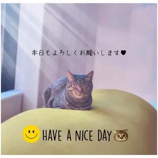 KAWAKITA  MAMIのマツエク・マツパデザイン