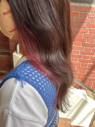 ロング カラー 西 めぐみのヘアスタイル