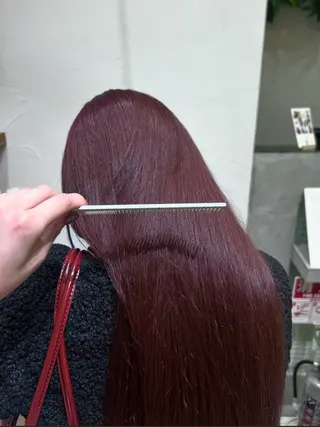 ロング カラー 🫧透明感カラー/ 寒色カラー/Risaのヘアスタイル