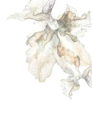 ネイル Lili beauty salon所属・Lilibeauty salonのネイルデザイン