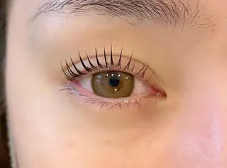 マツエク・マツパ デイジーラッシュ 天王寺　南のマツエク・マツパデザイン