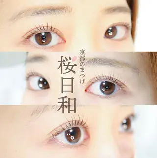 マツエク・マツパ 京都のまつげ桜日和 小島美桜のマツエク・マツパデザイン