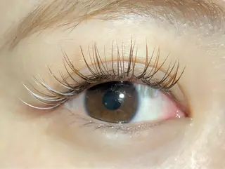 マツエク・マツパ Favori 山下のマツエク・マツパデザイン