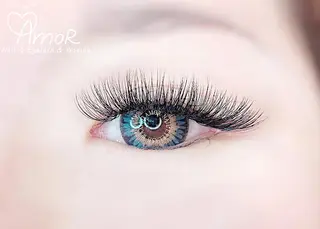 マツエク・マツパ Amor所属・AMOR EYELASHのマツエク・マツパデザイン