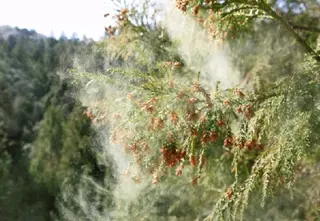 aliaハイフ&水光ジェットサロン所属・aliaハーブ水光店 エステティシャン募集のエステ・リラクイメージ