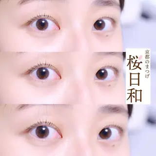 マツエク・マツパ 京都のまつげ桜日和 小島美桜のマツエク・マツパデザイン