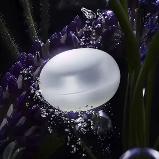 小林 弓子のその他イメージ