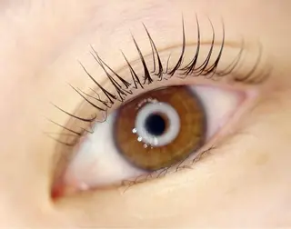 マツエク・マツパ crown KIYOMIのマツエク・マツパデザイン