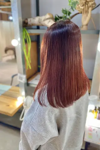 セミロング カラー 菊地 紗矢のヘアスタイル