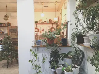 佐藤 美咲のヘアスタイル