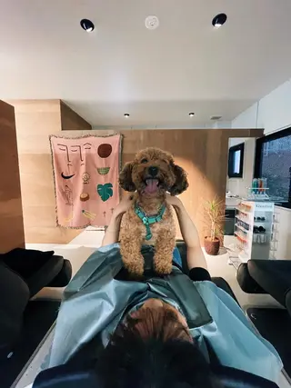 関 京磨のヘアスタイル